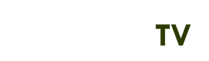 quả kha tử